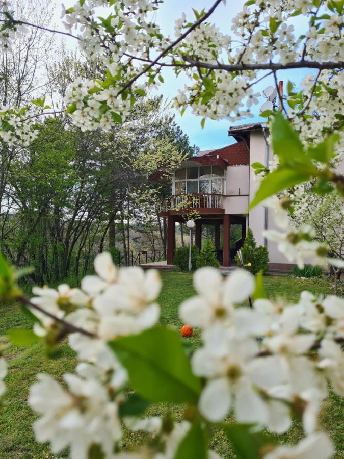 Туристически Дом Кайлъка Pleven Ngoại thất bức ảnh
